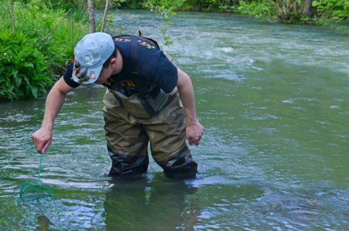 TITAN Bulgaria Zlatna Panega quarry safeguards its natural environment and preserves biodiversity