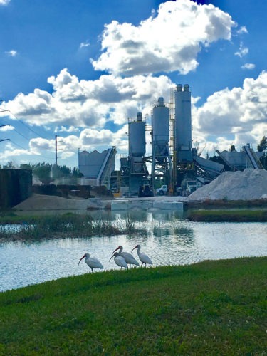 TITAN America’s Pennsuco Complex is certified as a Gold Level Zero Waste Facility: photograph of ducks and the lake next to the plant