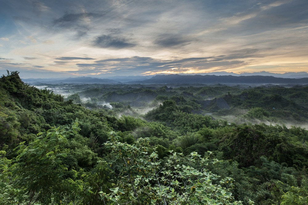 Improving TITAN environmental footprint poster: An overview of a forest full of trees and a sky with light clouds