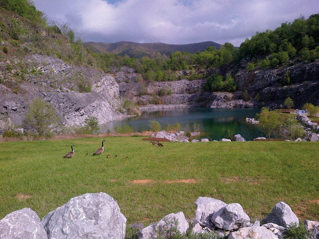 Roanoke Cement plant's environmental natural beauty open to local community: Lake and ducks image