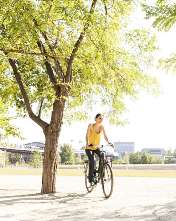 net-zero-image-bicycle