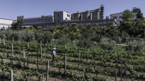 Albania - Antea integrated cement plant